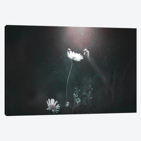 Blooming Expedition Canvas Print #RYK1} by Shaun Ryken Canvas Art Print