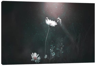 Blooming Expedition Canvas Art Print