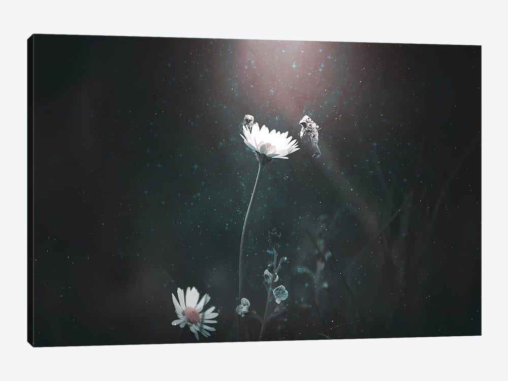 Blooming Expedition by Shaun Ryken 1-piece Canvas Wall Art