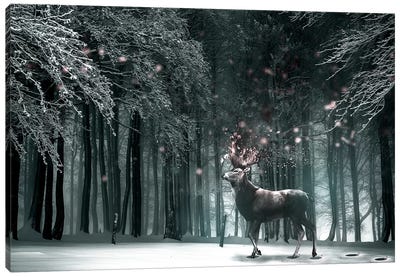 Oh Deer Canvas Art Print - Shaun Ryken
