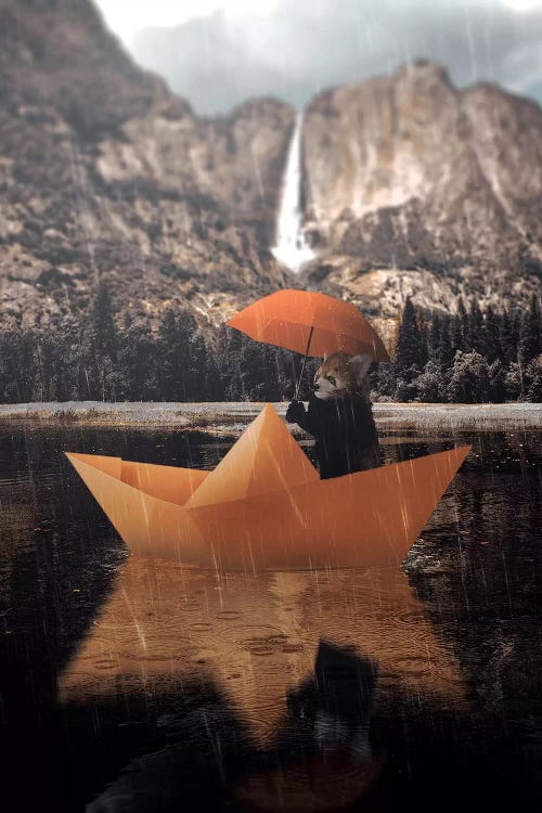Paper Boat Panda by Shaun Ryken wall art