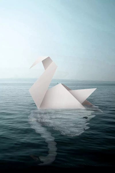 Through The Looking Glass: Paper Swan by Shaun Ryken