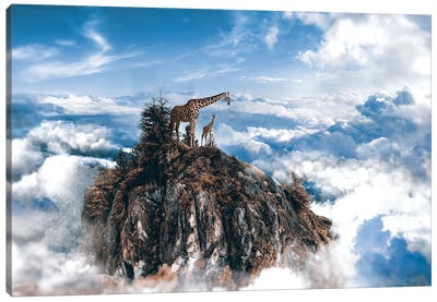 Top Of The World Canvas Art Print