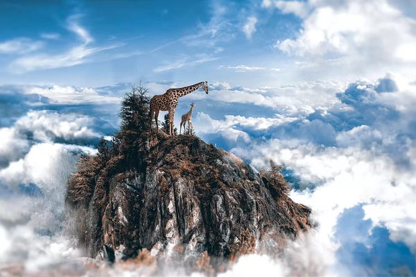 Creativity: Top Of The World by Shaun Ryken