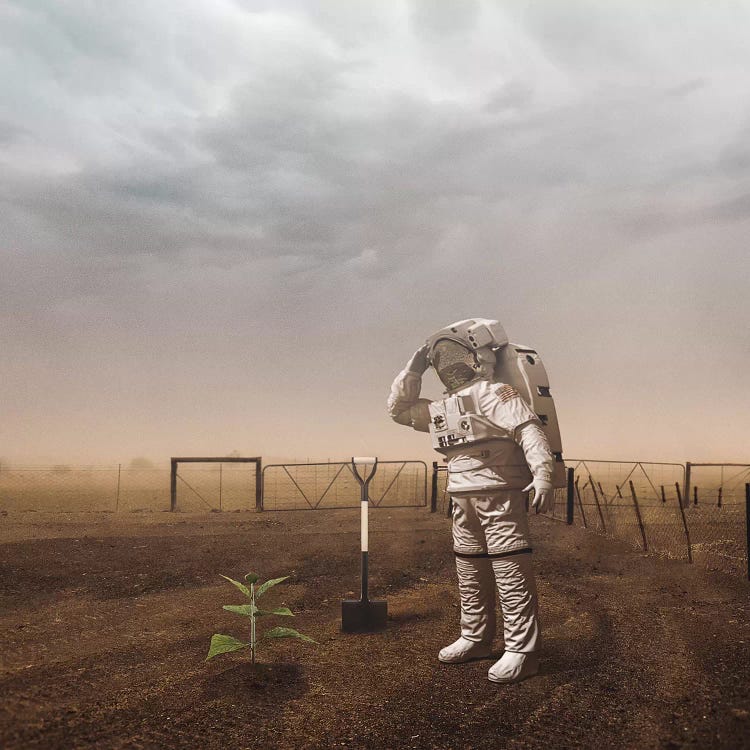 Astro Plant by Shaun Ryken wall art