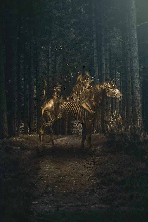 Flaming Horse by Shaun Ryken wall art