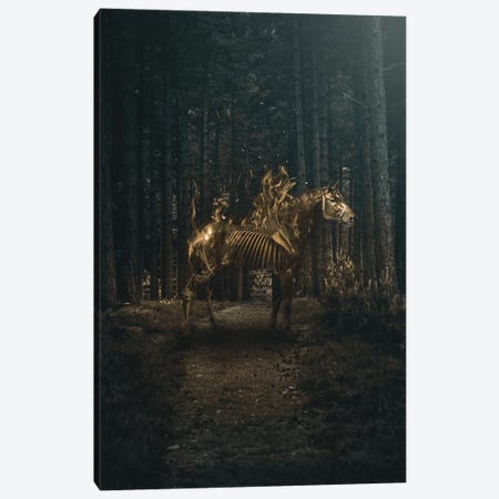 Flaming Horse Canvas Print #RYK35} by Shaun Ryken Canvas Print