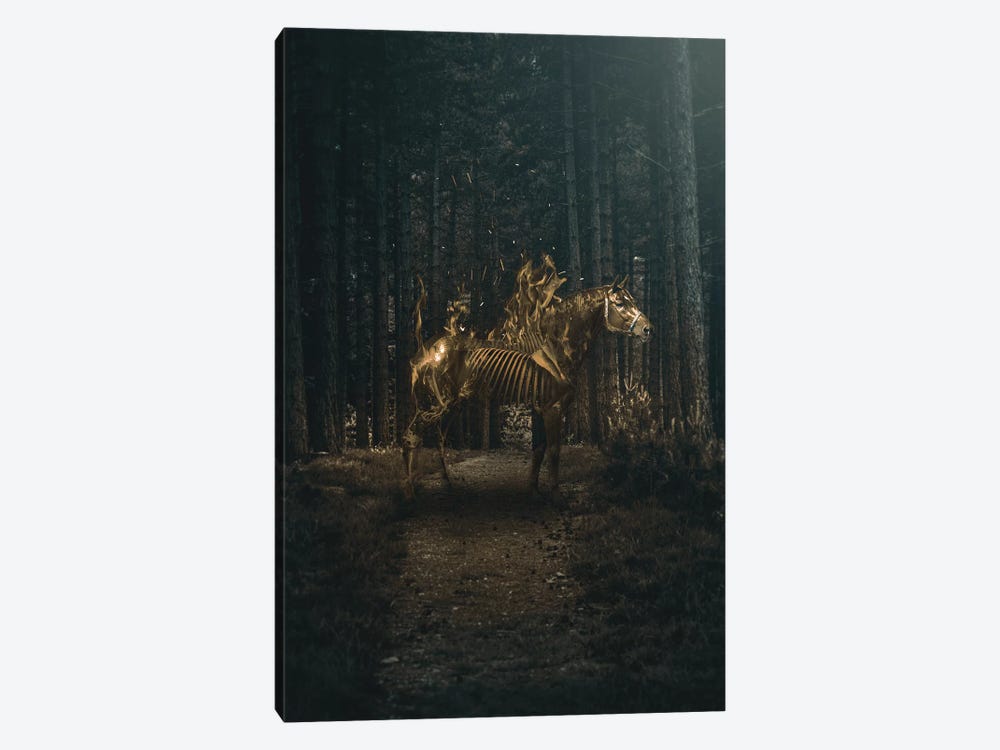 Flaming Horse by Shaun Ryken 1-piece Canvas Print