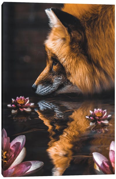 Fox Flower Canvas Art Print - Shaun Ryken