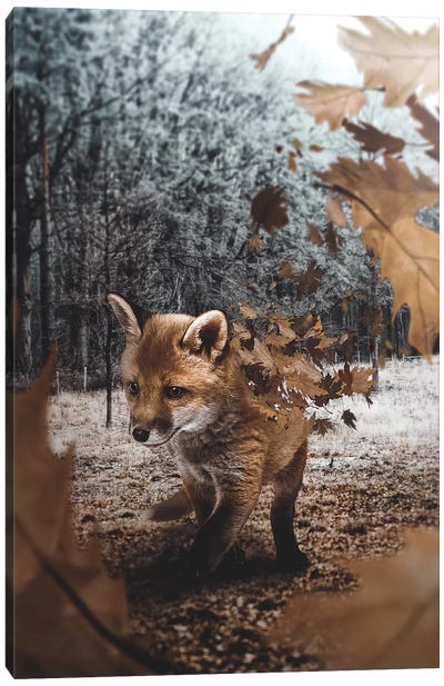 Fox Leaves Canvas Art Print