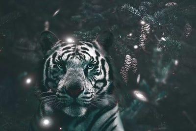 Creeping Tiger by Shaun Ryken art print