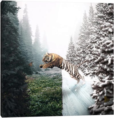 Jumping Tiger Canvas Art Print - Tiger Art