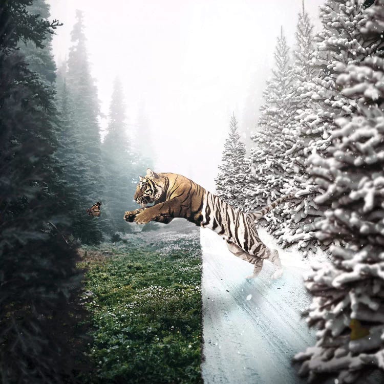 Jumping Tiger