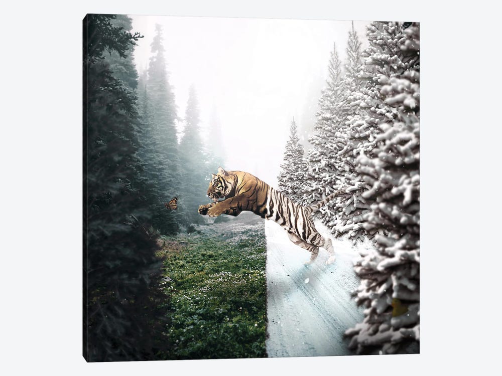 Jumping Tiger by Shaun Ryken 1-piece Canvas Art Print