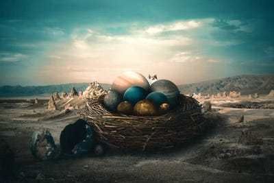 Planet Nest by Shaun Ryken framed canvas print