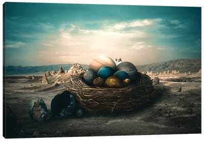 Planet Nest Canvas Art Print - Nests