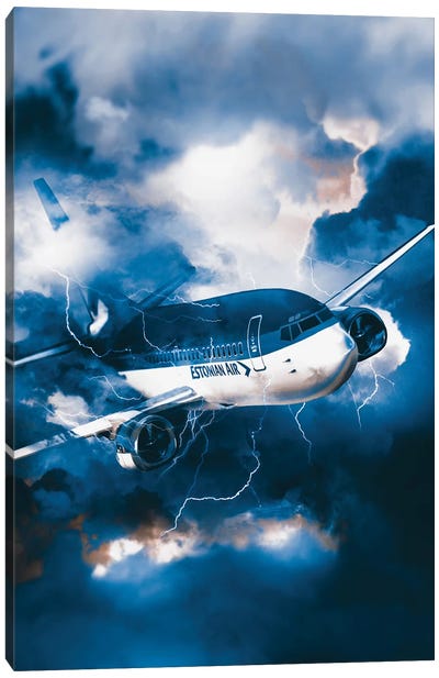 Risky Flight Canvas Art Print - Shaun Ryken