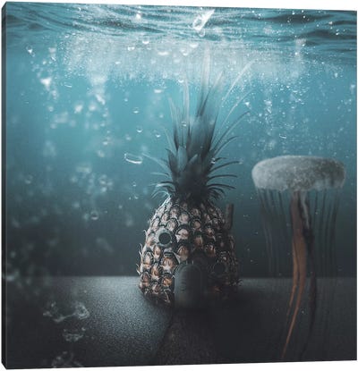 Spongebob Canvas Art Print - Composite Photography