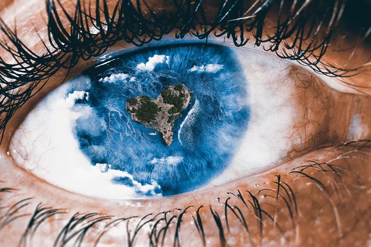 Vision by Shaun Ryken wall art