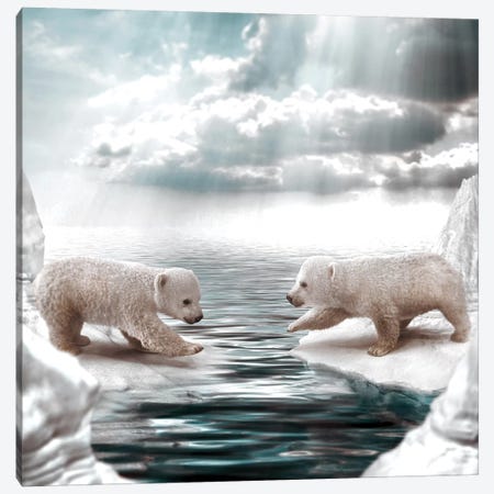 Polar Opposites Canvas Print #RYK47} by Shaun Ryken Canvas Wall Art