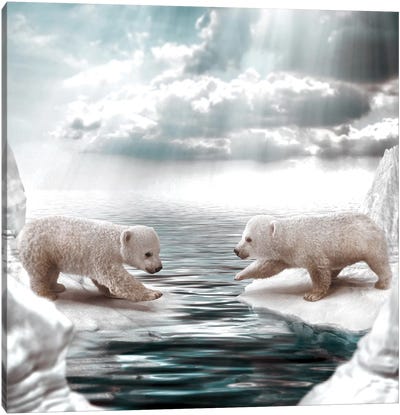 Polar Opposites Canvas Art Print - Polar Bear Art
