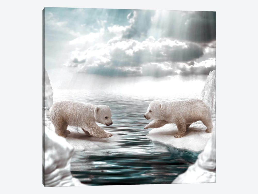 Polar Opposites by Shaun Ryken 1-piece Canvas Artwork