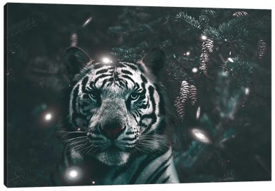 Creeping Tiger Canvas Art Print - Shaun Ryken