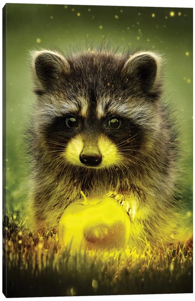Golden Apple Thief Canvas Art Print - Raccoon Art