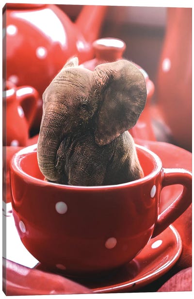 Teacup Elephant Canvas Art Print - Shaun Ryken