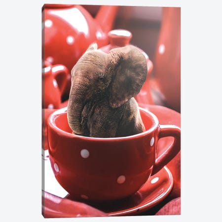 Teacup Elephant Canvas Print #RYK55} by Shaun Ryken Canvas Print