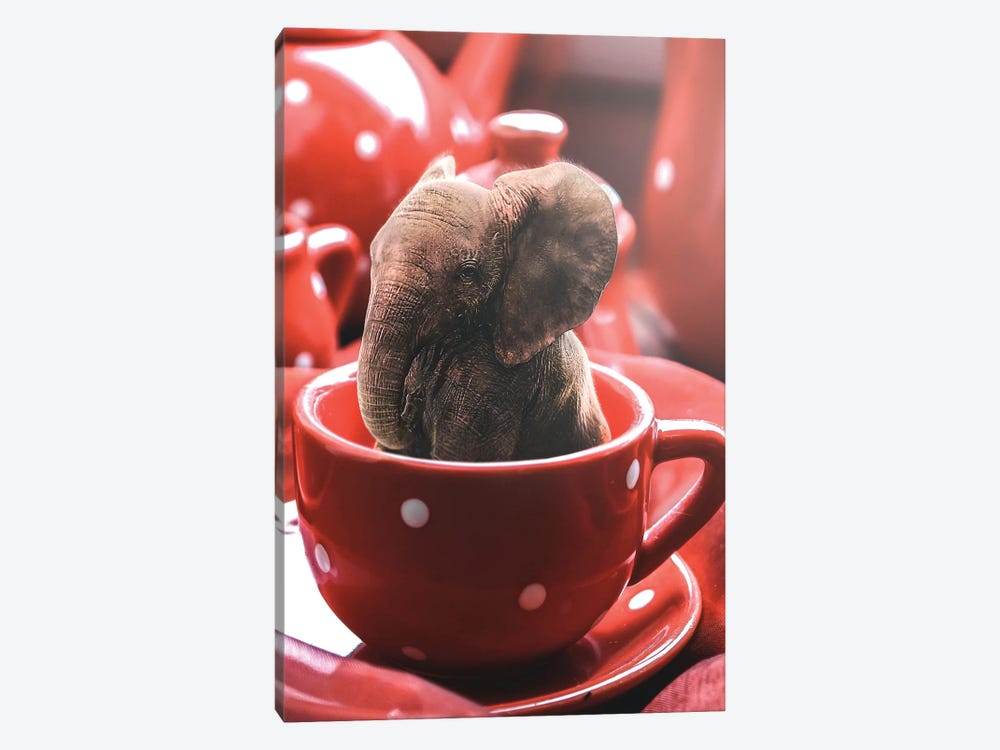 Teacup Elephant by Shaun Ryken 1-piece Art Print