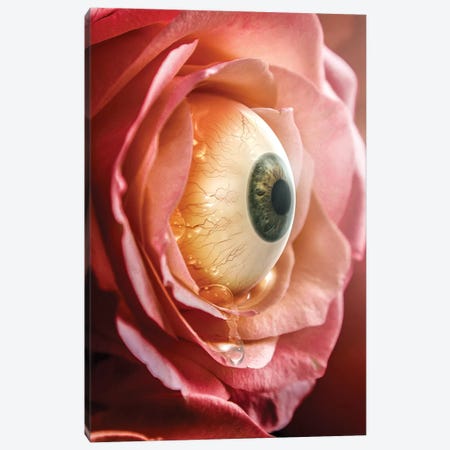 The Crying Flower Canvas Print #RYK56} by Shaun Ryken Art Print
