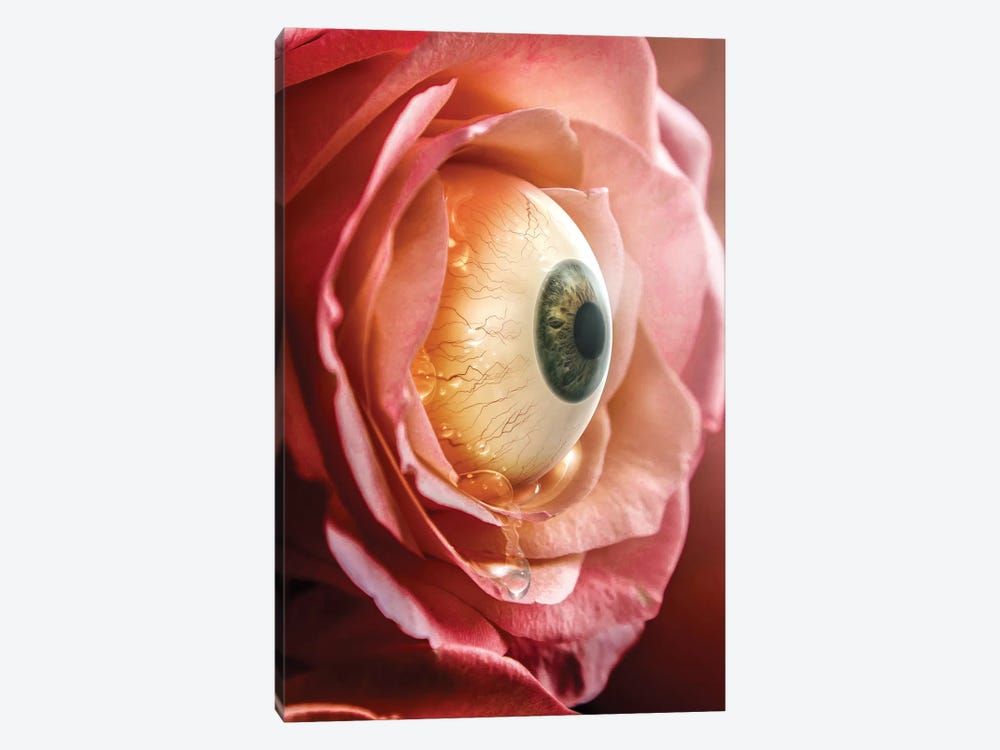 The Crying Flower by Shaun Ryken 1-piece Canvas Artwork