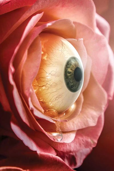 Mental Health Awareness: The Crying Flower by Shaun Ryken