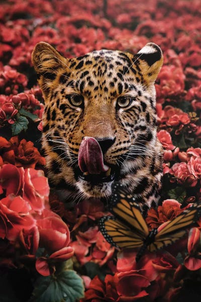 Cheetahs: Floral Snack Time by Shaun Ryken