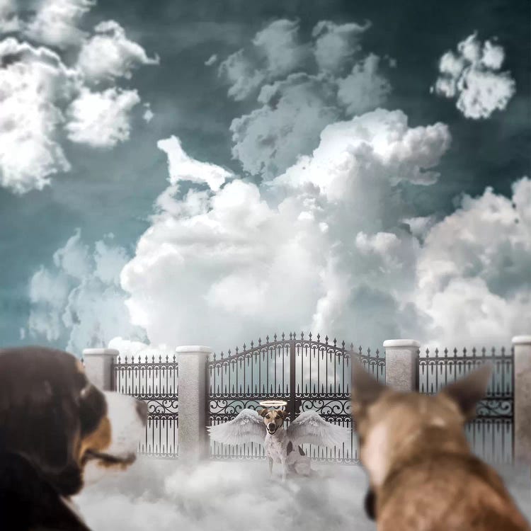Dog Heaven by Shaun Ryken wall art