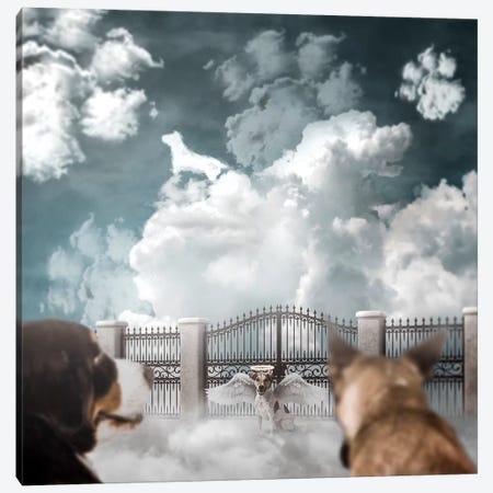 Dog Heaven Canvas Print #RYK5} by Shaun Ryken Canvas Wall Art