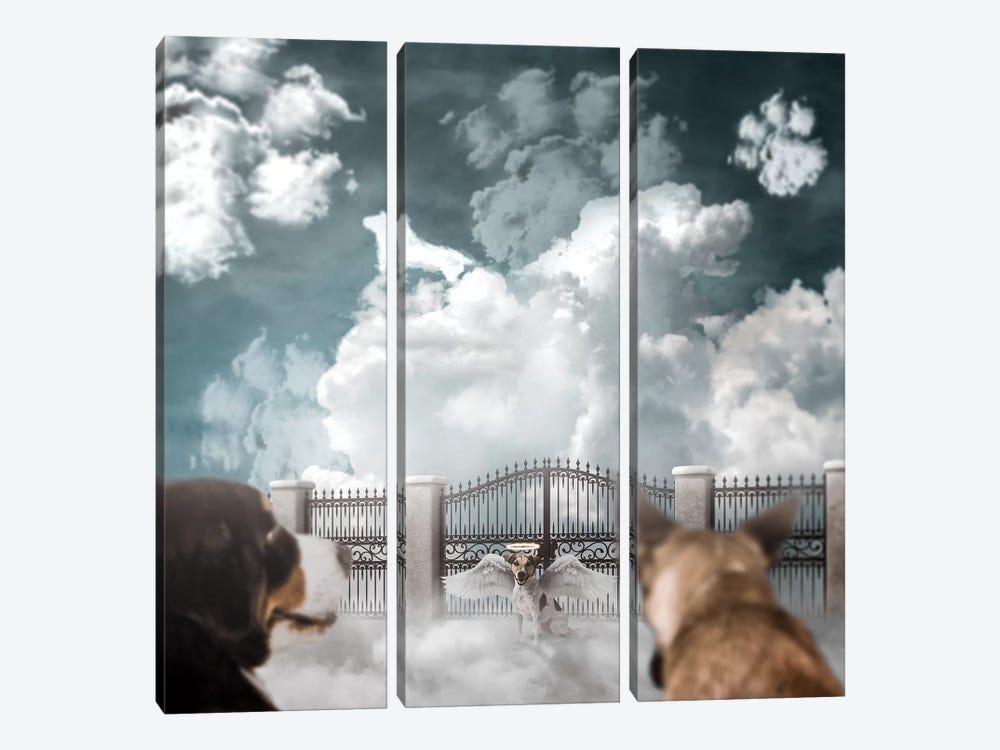 Dog Heaven by Shaun Ryken 3-piece Canvas Art