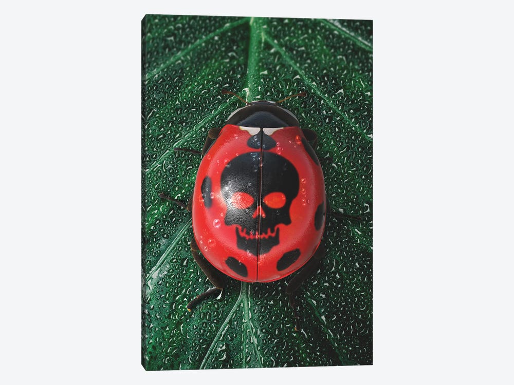 Poisonous Ladybug by Shaun Ryken 1-piece Canvas Artwork
