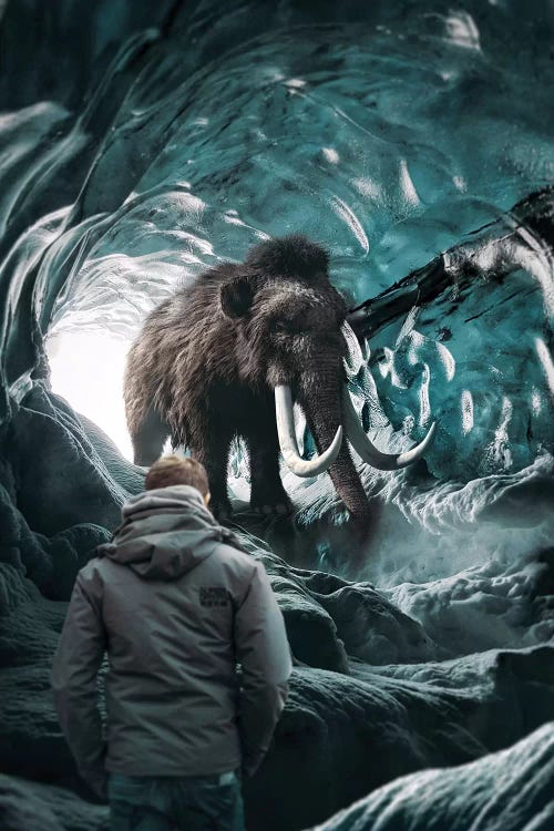 Mammoth In Hiding by Shaun Ryken wall art