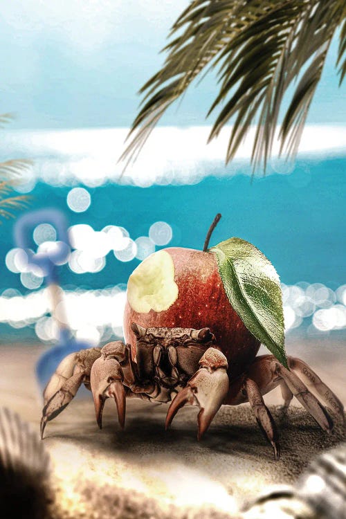 Crab-apple by Shaun Ryken wall art