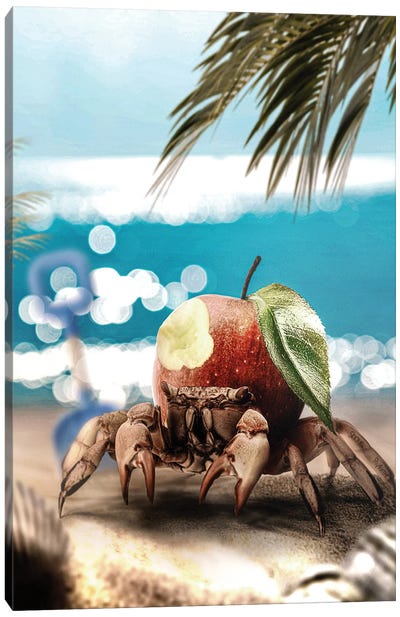 Crab-apple Canvas Art Print - Crab Art