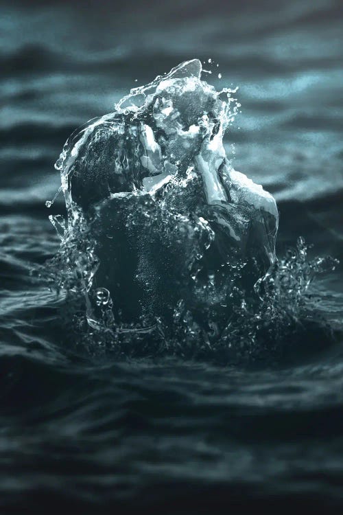 Wet Romance by Shaun Ryken wall art