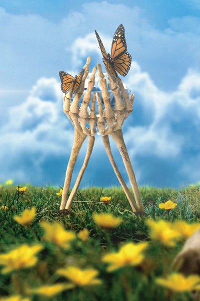 Skeletons: Life And Death by Shaun Ryken