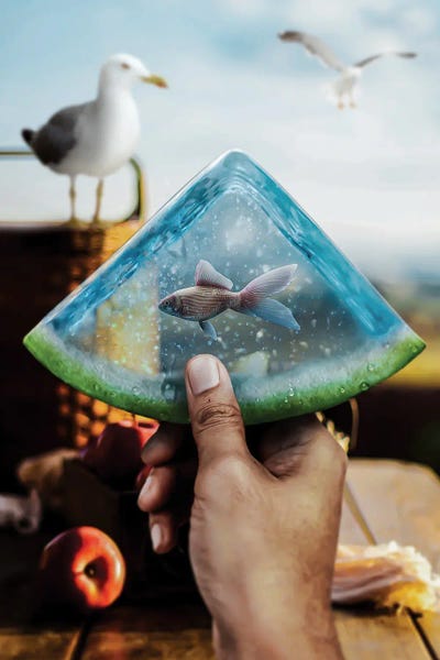 Goldfish: Watermelon by Shaun Ryken