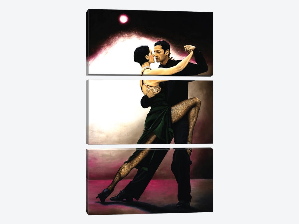 The Temptation Of Tango by Richard Young 3-piece Canvas Wall Art