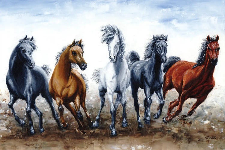 Wild Arabians