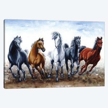 Wild Arabians Canvas Print #RYO103} by Richard Young Canvas Print