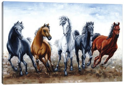 Wild Arabians Canvas Art Print - Richard Young