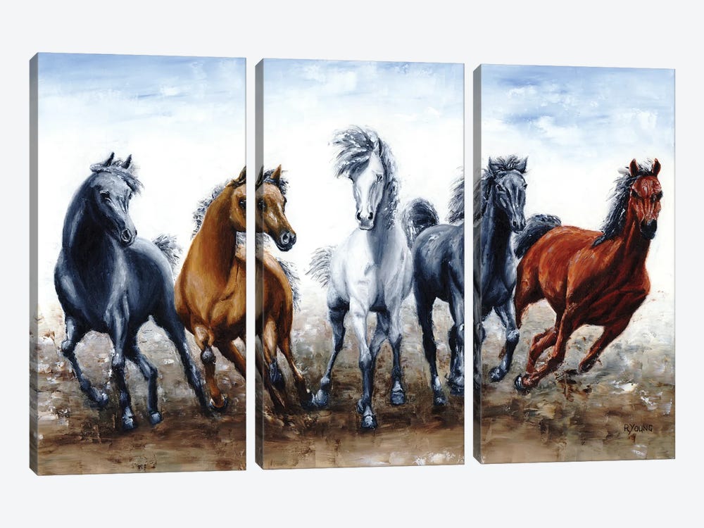 Wild Arabians by Richard Young 3-piece Canvas Wall Art